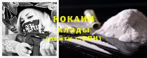 стаф Алзамай