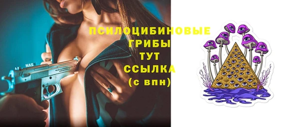 амф Алексин