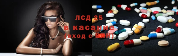 стаф Алзамай