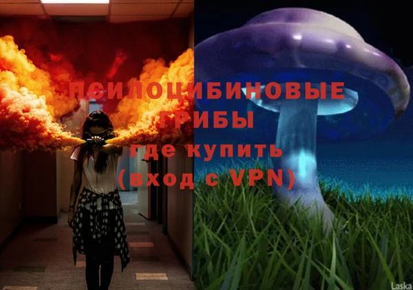 амф Алексин