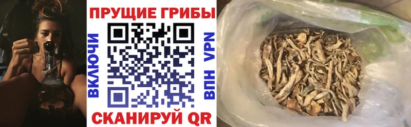 магазин продажи наркотиков Ветлуга Псилоцибиновые грибы GOLDEN TEACHER